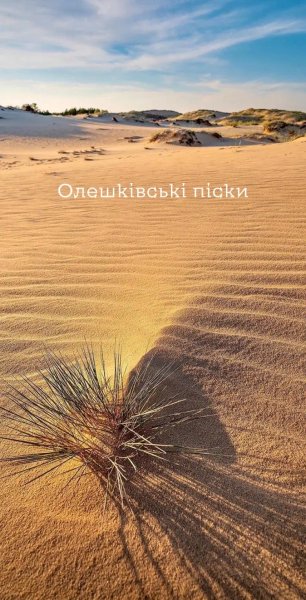 Олешківські піски Олешківські піски, чим цікаві